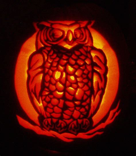 Owl Pumpkin Pumpkin Carving Carving Pumpkin