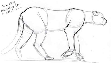 Draw a bumpy crooked u shape. How to draw cheetah step by step | ARCMEL.COM