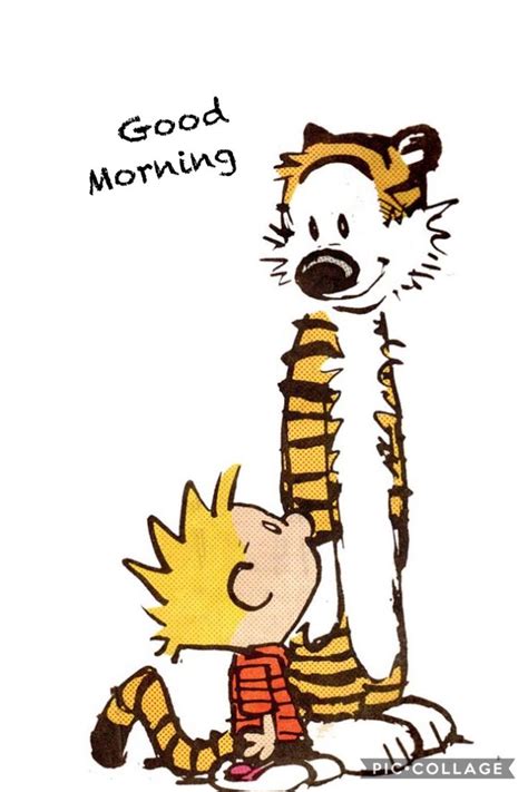 Pin By Mari R On Good Morning Calvin And Hobbes Calvin And Hobbes