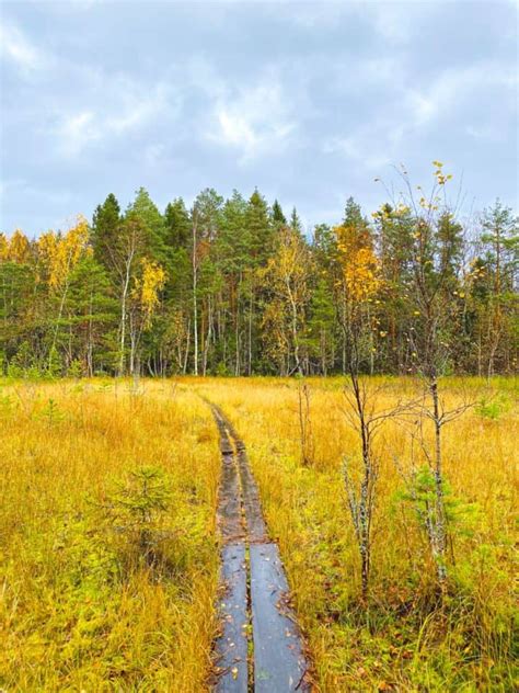 Autumn In Finland Top 10 Things To Do Expect And Visit 2023
