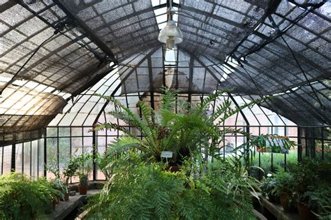 Galería De Art Nouveau En El Jardín Botánico De Buenos Aires 14