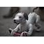 Sony Is About To Release Its Robot Dog Aibo In The US