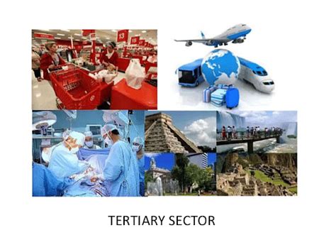 Tertiary Sector Indian Economy Notes