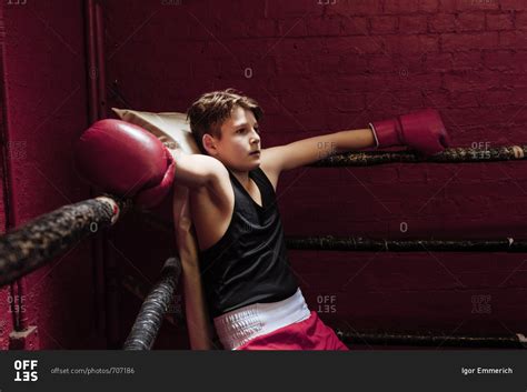 Young Boy Boxer Training In The Gym Stock Photo Offset