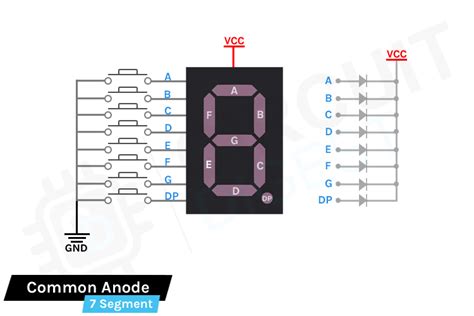 Segment Display Pinout Working Examples Applications Features Vlr