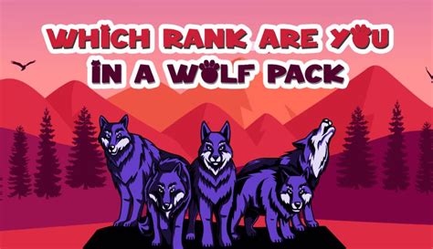 Quiz Which Rank Are You In A Wolf Pack 100 Accurate