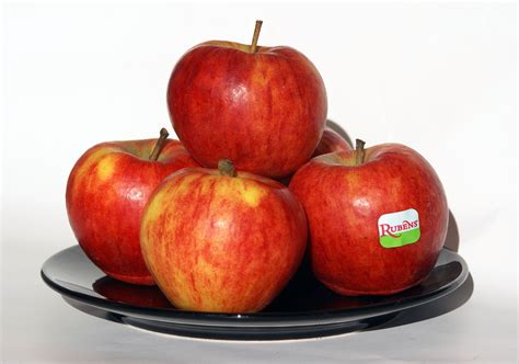 Filerubens Apples On Plate Wikimedia Commons