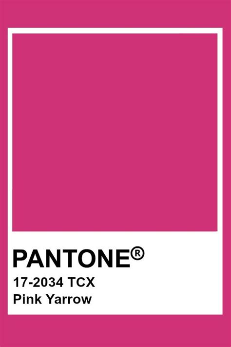 Pantone Pink Yarrow Pantone Pink Pantone Tcx Pantone Color