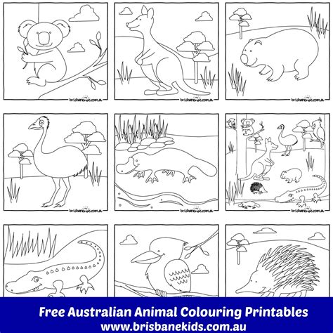 Australian Animals Colouring Pages Brisbane Kids