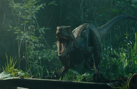 Jurassic World Das Gefallene Königreich 2018 Film Cinema De