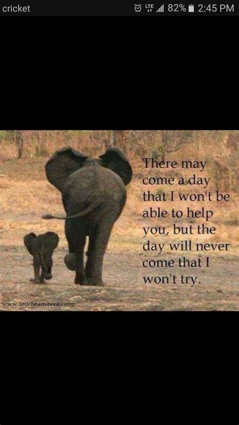 pin by gaylene raether on elephants quotes about love and relationships mothers day quotes