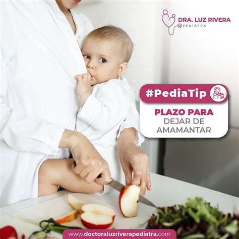 Plazo Para Dejar De Amamantar Dra Luz Rivera Pediatra