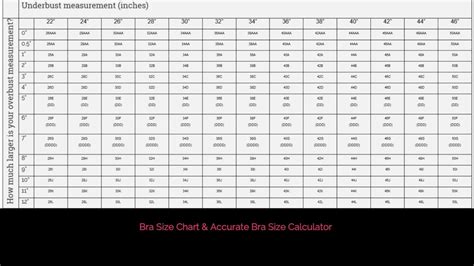 Ppt Bra Size Calculator Accurate Usa Cup Sizes Chart Powerpoint