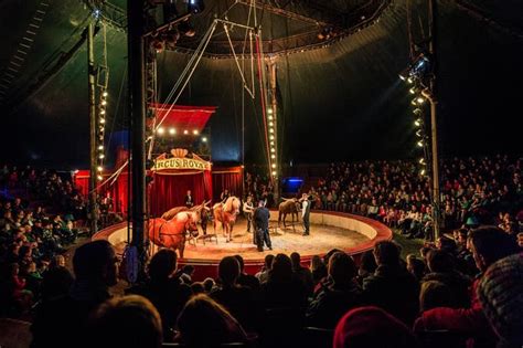 Ehemalige Gesellschaft Des Circus Royal Konkurs Abgeschlossen