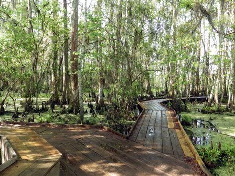 7 Unimaginably Beautiful Places In Louisiana That You Must See Before