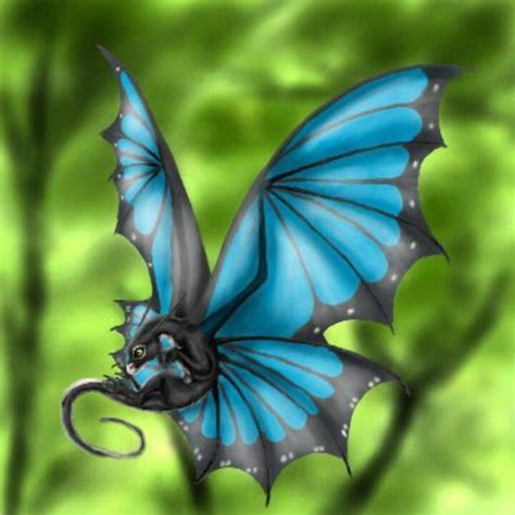 Butterdragonfly Mythical Creatures Dragon Artwork Dragons Fantasy