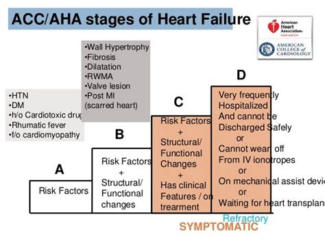 Heart Failure Pathogenesis And Current Management