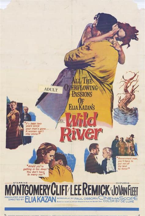 Wild River 1960 Montgomery Clift Elvis Dvd Collector And Movies Store