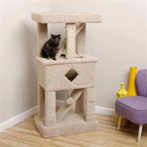 Solid Wood Cat Furniture Ideas On Foter