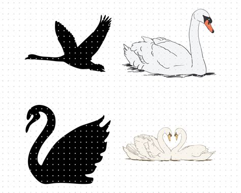 Swan Svg Svg Files Vector Clipart Cricut Download By Crafteroks