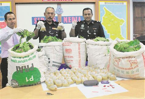 Daun kesum direbus kemudian airnya diminum. Pabila Penaku Menari: Suami isteri tak serik edar ketum