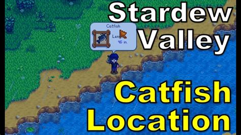 Where To Catch Catfish In Stardew Valley Youtube