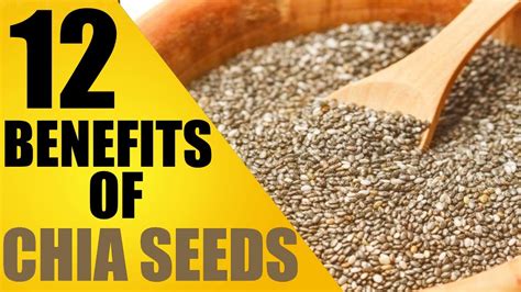 The 12 Amazing Health Benefits Of Eating Chia Seeds Everyday How To