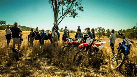 Paid Farm Work In Australia Fruit Picking Jobs And Ranch Work Oyster