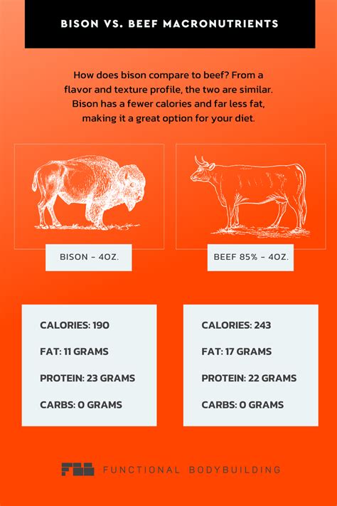 Bison vs. Beef: A Healthy Protein Comparison