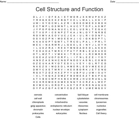 Cell Organelles Word Search Word — Db