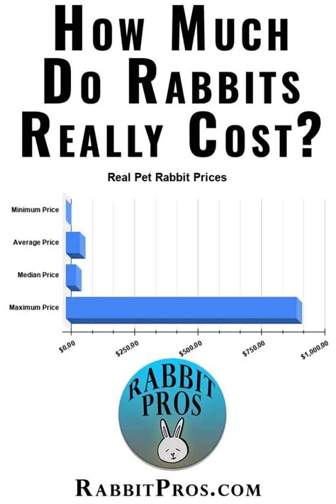 How Much Does A Pet Bunny Rabbit Cost Cost By Rabbit Breed Survey Data