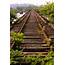 The Old Railroad Bridge View 1 Tracks To Nowhere  Floren… Flickr
