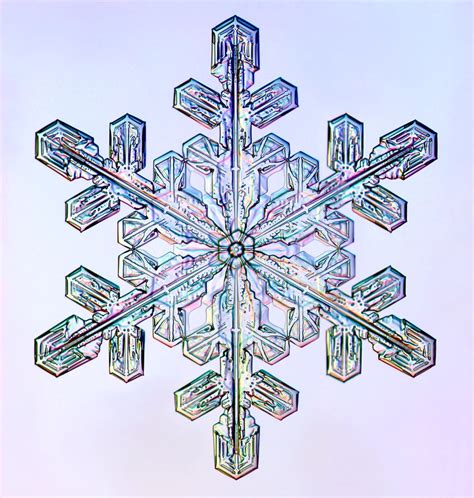 Snow Crystal Snowflake Photos Snowflakes