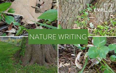 Nature Writing Evansville Vanderburgh Public Library