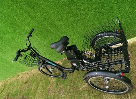 성인을 위한 전기 화물 세발자전거 전기 자전거 전기 세발자전거 3 바퀴 전기 스쿠터 세발자전거 Buy 전기 자전거 성인 전기
