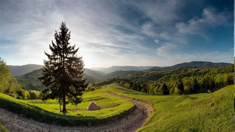 Nature Landscape Spring Forest Mountain Path Morning Trees Clouds Grass Ukraine