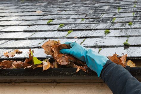 Alpha Roofing Kendal Blog Inspecting Your Roof To Prevent Roofing