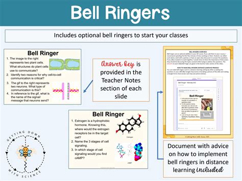 Ap Biology Cell Communication Worksheet – Martin Lindelof