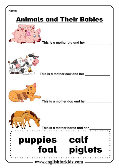 Animals And Their Babies Worksheet 54a
