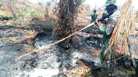 TNI Tindak Tegas Pembakar Hutan Dan Lahan Di Riau ZONASATU CO ID