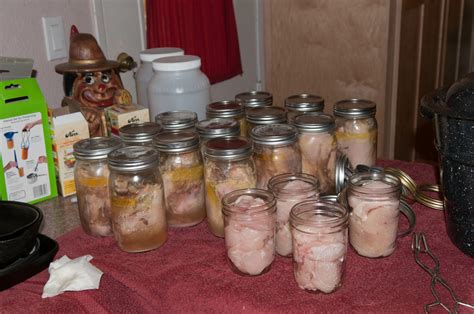 Home Canned Chicken Is A Great Prep Preparedness Advice