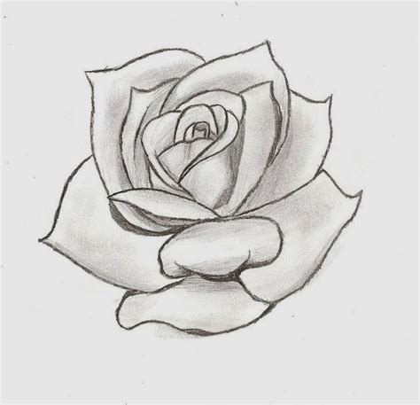Arte vetorial, clipart e vetores stock. Rose tattoo stencil, Rose stencil, Roses drawing