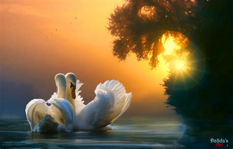 Swan Couple Hd Artist 4k Wallpapers Images Backgrounds