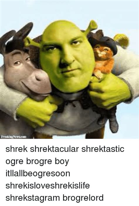 Shrek Shrektacular Shrektastic Ogre Brogre Boy Itllallbeogresoon