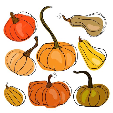 Premium Vector A Set Of Pumpkins In Different Grades And Shapes Hand