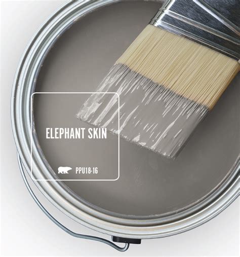 Trend Color Spotlight Elephant Skin Colorfully Behr