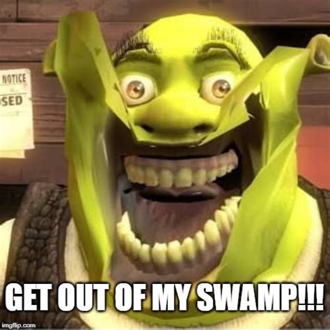 This Is My Swamp 