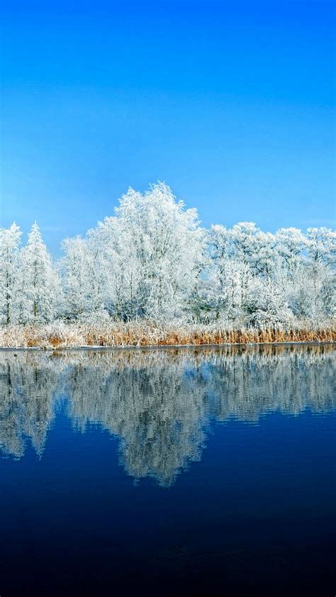 Wallpaper Lake Forest Snow Winter 5k Nature 17358