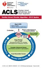 American heart association® guidelines are updated every five years. ACLS Digital Reference Card Set - AHA