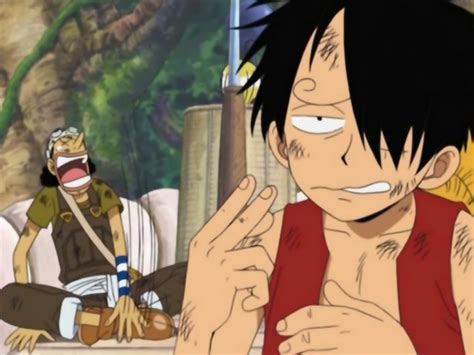 My Life My Rule My History Luffy Funny Face